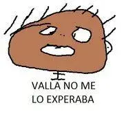 Valla-no-me-lo-experaba.webp
