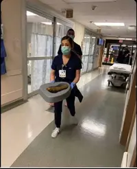 piece of massive shit.webp