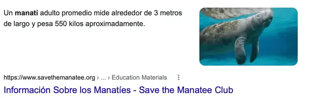 Screenshot 2022-01-09 at 09.21.35.webp