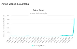 Screenshot 2022-01-15 at 07-56-28 Australia COVID - Coronavirus Statistics - Worldometer.webp