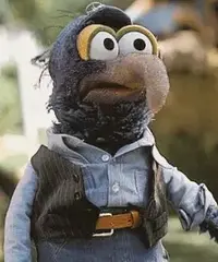 Gonzo.webp