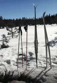 Screenshot 2022-03-20 at 21-19-21 Facebook.webp