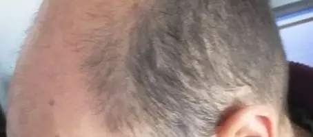 Ferris06.jpg Ferris06.jpg