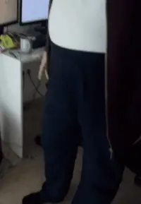 Ferris09.png Ferris09.png