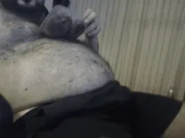 Ferris12.png Ferris12.png