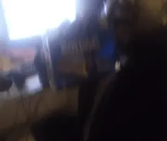 Ferris13.jpg Ferris13.jpg