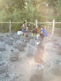FB_IMG_1650839586917.webp