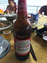 45D84295-E4FA-4521-962D-63FF8068DC06.webp