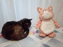 [2022-05-02] 18,02,01.jpg