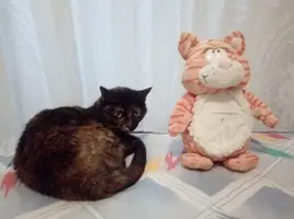 [2022-05-02] 18,02,25.jpg