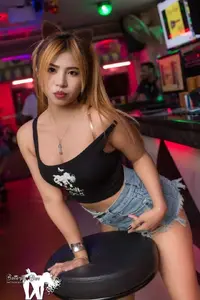 222.webp