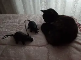 [2022-05-07] 18,20,11.jpg