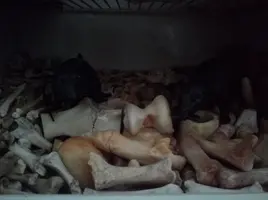 [2022-05-08] 18,00,39.jpg