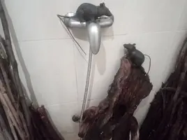 [2022-05-08] 18,43,44.jpg