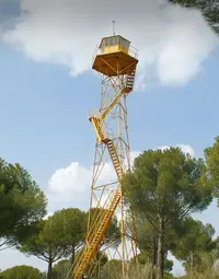 torre de vigilancia forestal en coca.webp