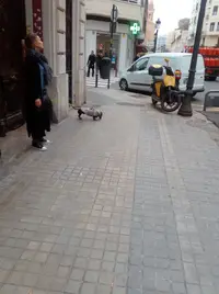 [2022-03-30] 11,33,18.jpg