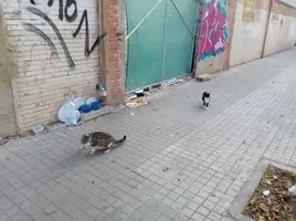 [2022-05-19] 21,01,44.webp