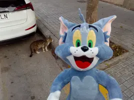 [2022-05-19] 21,02,17.webp