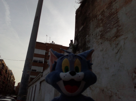 [2022-05-21] 08,14,52.jpg