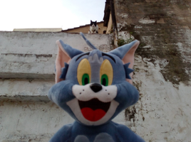 [2022-05-21] 08,15,07.jpg