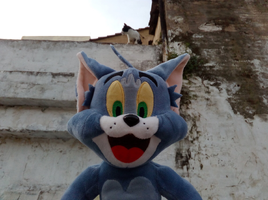 [2022-05-21] 08,15,15.jpg