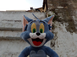 [2022-05-21] 08,15,17.jpg