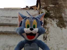 [2022-05-21] 08,15,21.jpg