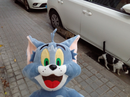 [2022-05-21] 08,16,37.jpg