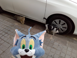 [2022-05-21] 08,16,39.jpg