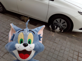 [2022-05-21] 08,16,45.jpg