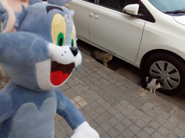 [2022-05-21] 08,16,53.jpg