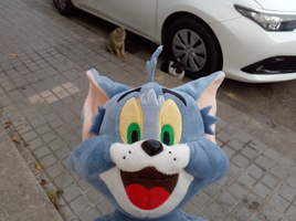 [2022-05-21] 08,17,27.jpg