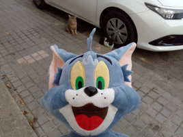 [2022-05-21] 08,17,29.jpg