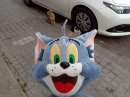 [2022-05-21] 08,17,31.jpg