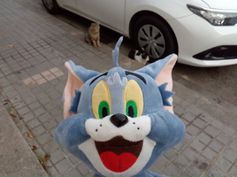 [2022-05-21] 08,17,35.jpg