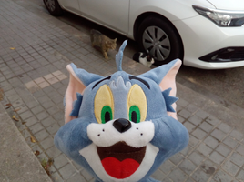 [2022-05-21] 08,17,37.jpg