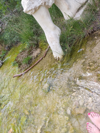 WhatsApp Image 2022-06-03 at 9.27.13 AM.webp