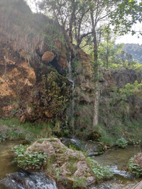 WhatsApp Image 2022-06-03 at 9.27.14 AM (1).webp