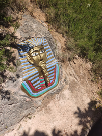 WhatsApp Image 2022-06-03 at 9.27.14 AM (3).webp