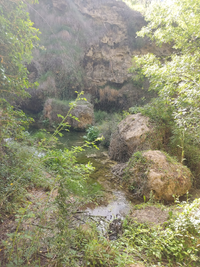 WhatsApp Image 2022-06-03 at 9.27.14 AM.webp