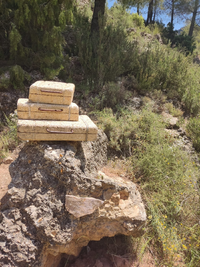 WhatsApp Image 2022-06-03 at 9.27.15 AM.webp