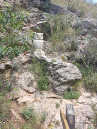 WhatsApp Image 2022-06-03 at 9.27.16 AM (1).webp