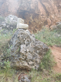 WhatsApp Image 2022-06-03 at 9.27.16 AM (2).webp