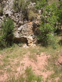 WhatsApp Image 2022-06-03 at 9.27.16 AM.webp