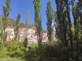 WhatsApp Image 2022-06-03 at 9.27.19 AM (1).webp