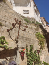 WhatsApp Image 2022-06-03 at 9.27.19 AM (3).webp