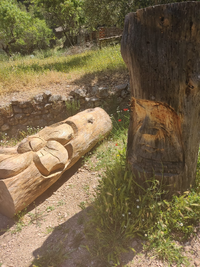 WhatsApp Image 2022-06-03 at 9.27.19 AM.webp