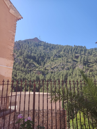 WhatsApp Image 2022-06-03 at 9.27.20 AM.webp