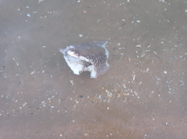 IMG_20220509_212013 - copia.jpg