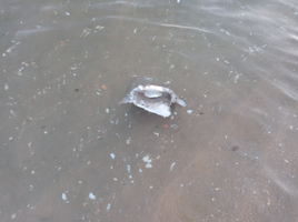 IMG_20220509_212029 - copia.jpg